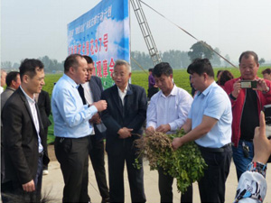 河南省農科院副院長張勛、研究員湯豐收指導工作。